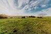 Grundstück und Ausblick - Teilbares Grundstück mit Ein-/Zweifamilienhaus