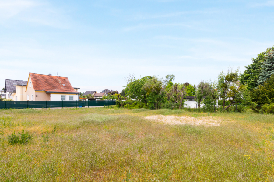 Bereits beräumte Fläche