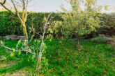 Garten und Hecke - Erschlossenes und bauträgerfreies Baugrundstück inkl. Bungalow und Garage in Französisch Buchholz