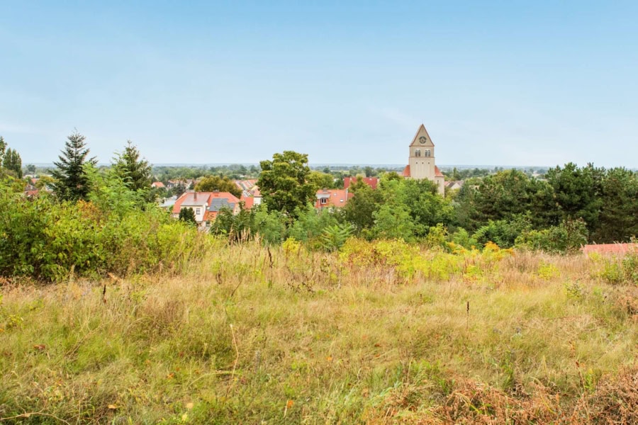 Bauträgerfreies teil-erschlossenes Grundstück in Wriezen: Zentrumsnah mit Ausblick über die Stadt!, 16269 Wriezen, Wohngrundstück zum Kauf