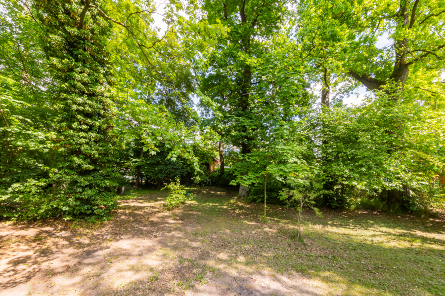 Grundstück in Rehfelde