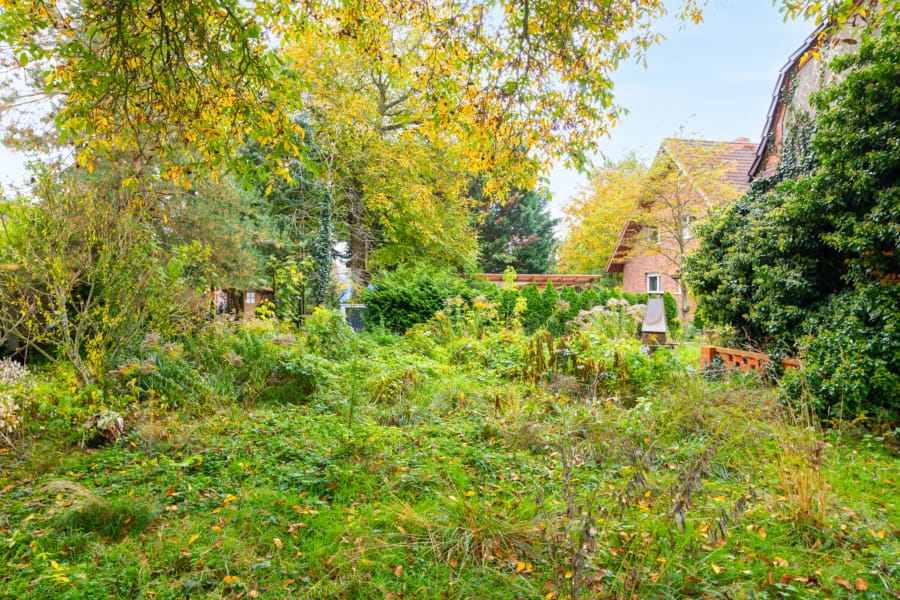 Großzügiges Grundstück