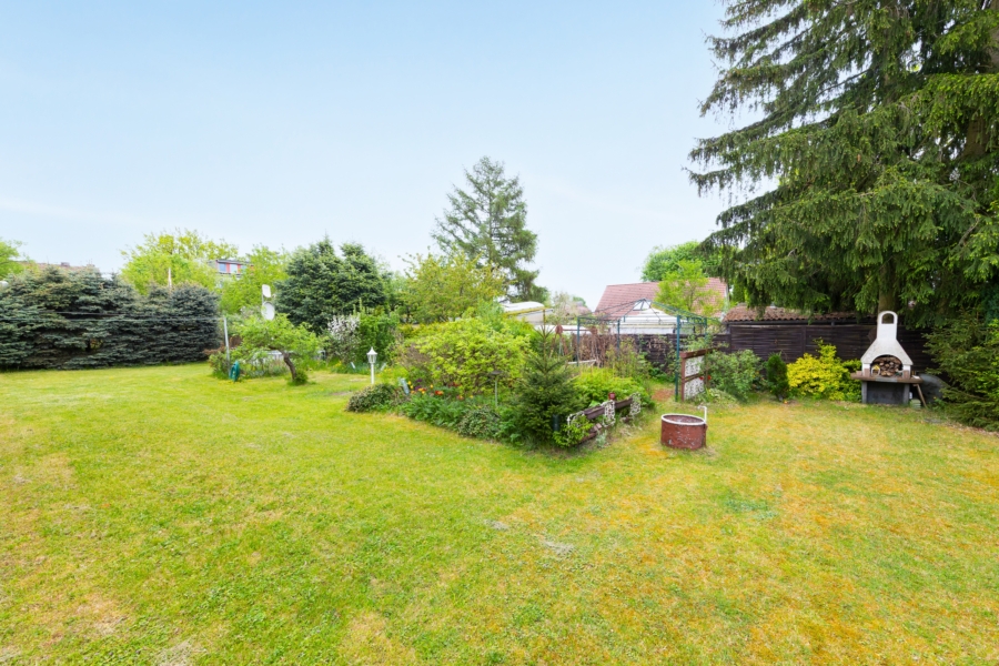 Blick in den Garten