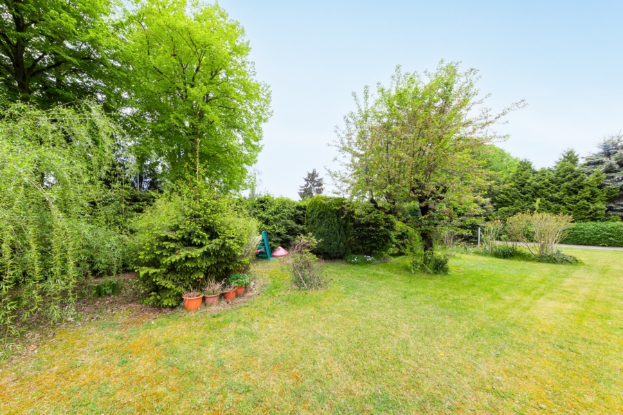 Garten Richtung Zufahrt