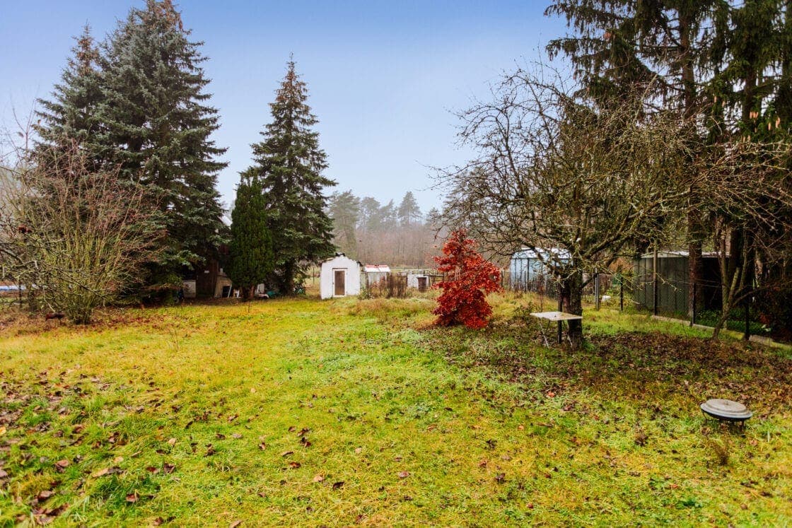 Mit Keller, teilbarem Grundstück, großen Zimmern, Terrasse, Garage usw. Einfamilienhaus in Rehfelde - Blick in den Garten