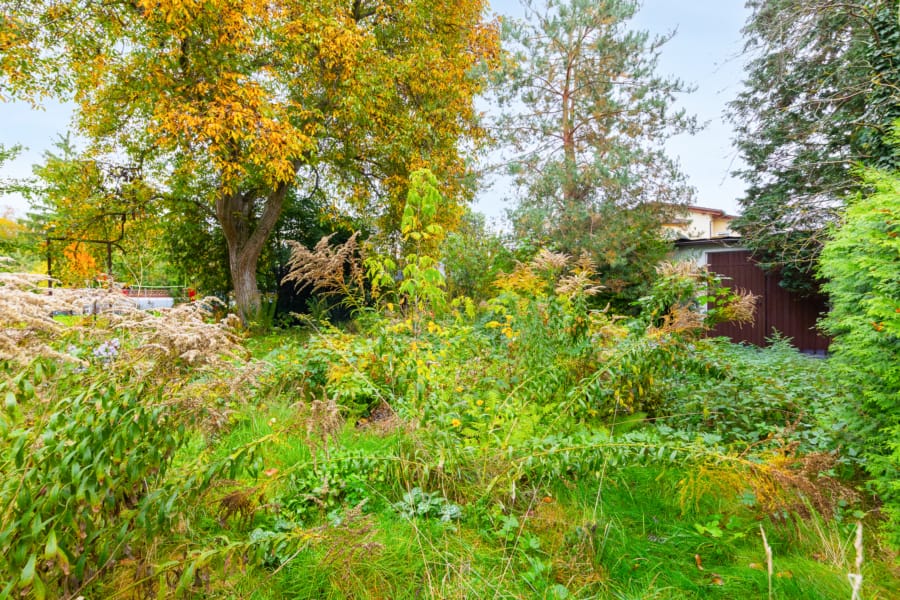 Bauträgerfrei und erschlossen