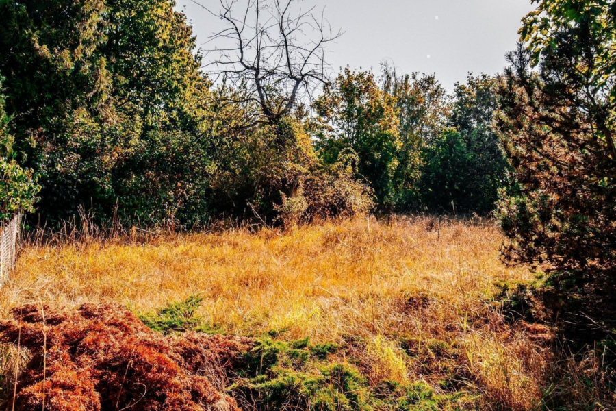 Viel Platz für Ihre Pläne