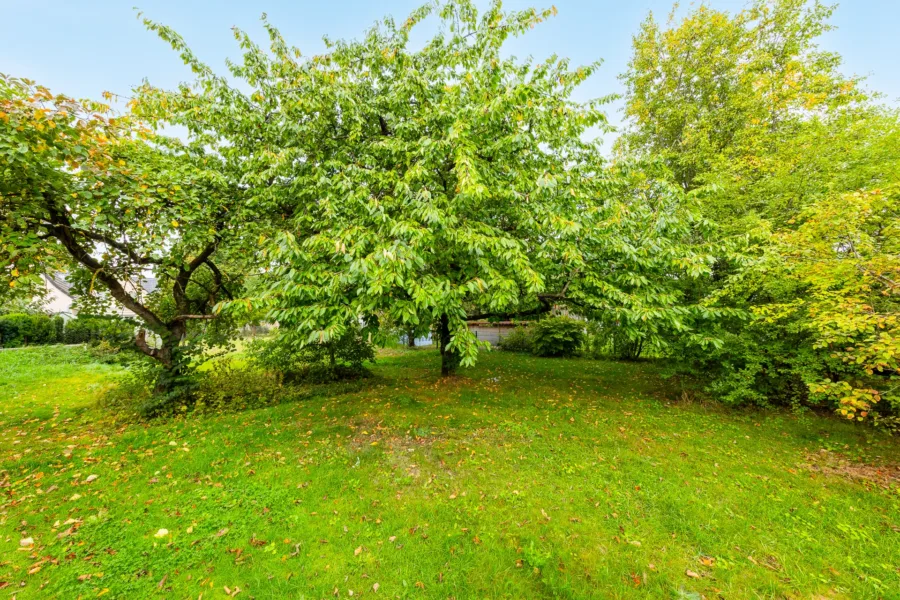 Weitläufiger Garten