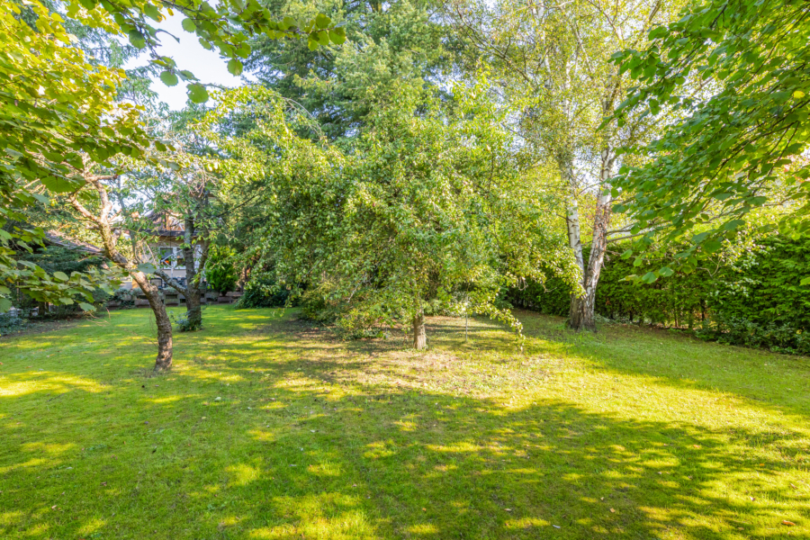 Platz für ein weiteres Haus