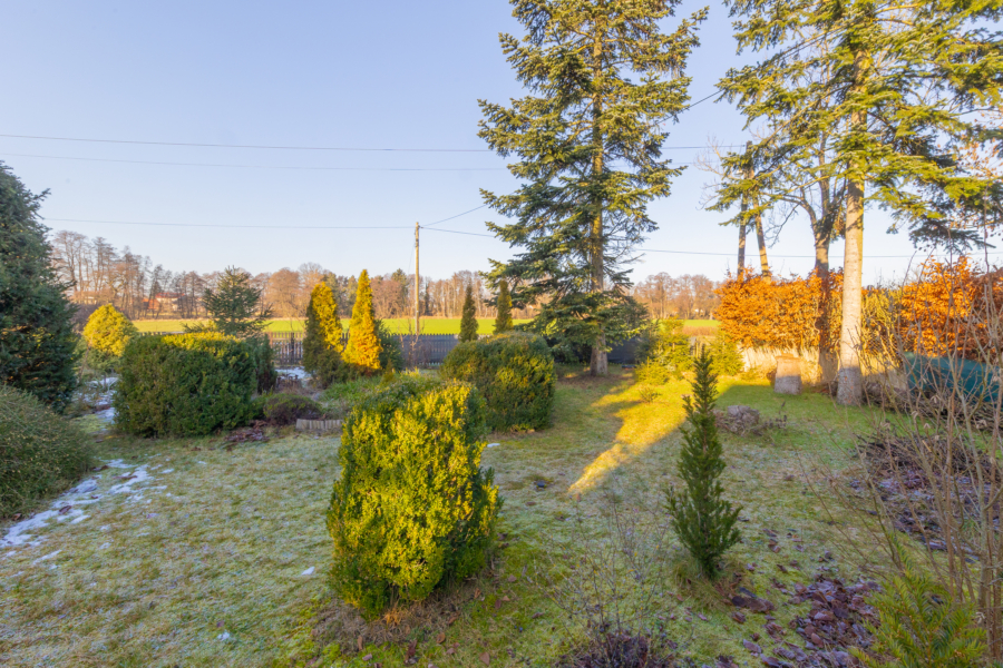 Blick in den Vorgarten
