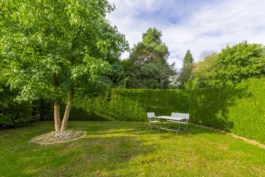 Pflegeleichter Garten