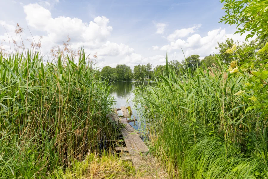 Grundstück mit Steg am See