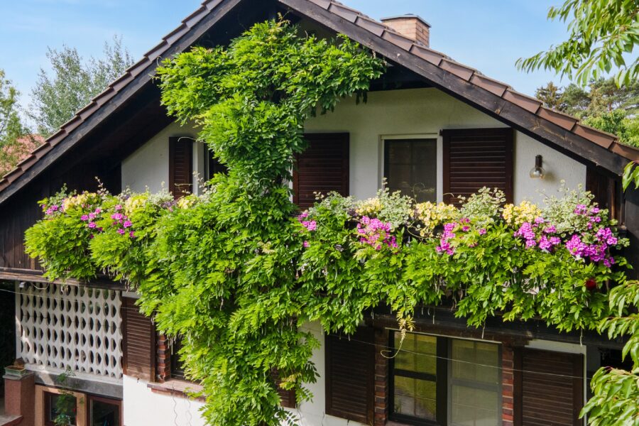 Balkon mit Blumenpracht