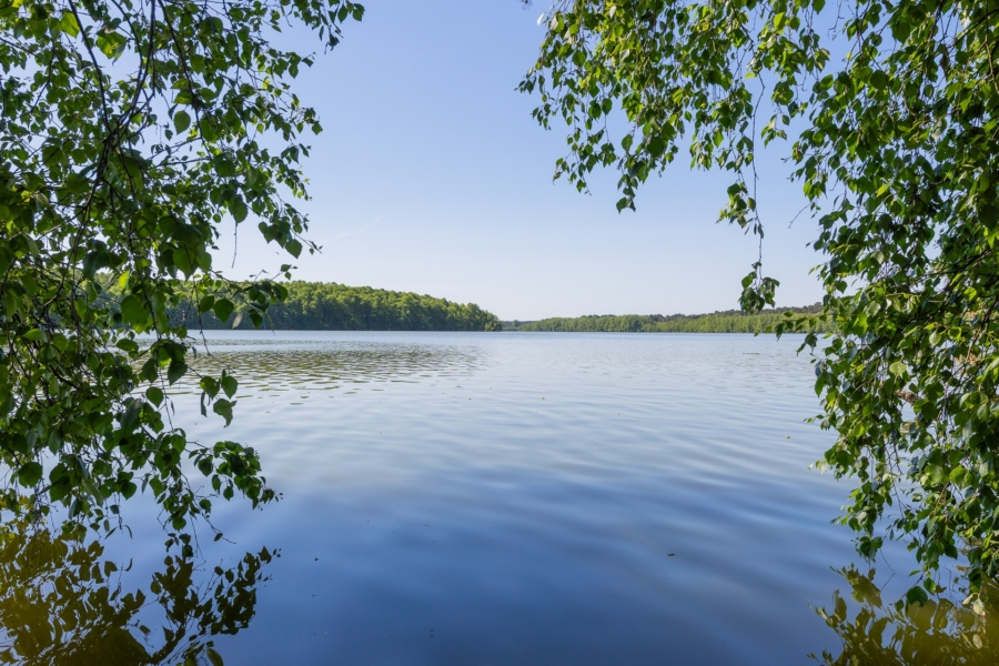 Pätzer Hintersee