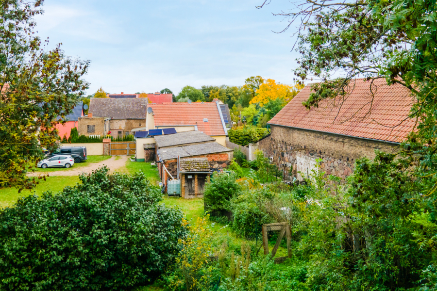 Viel Grün im Garten