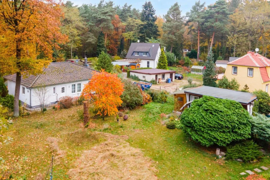Blick Richtung Wald