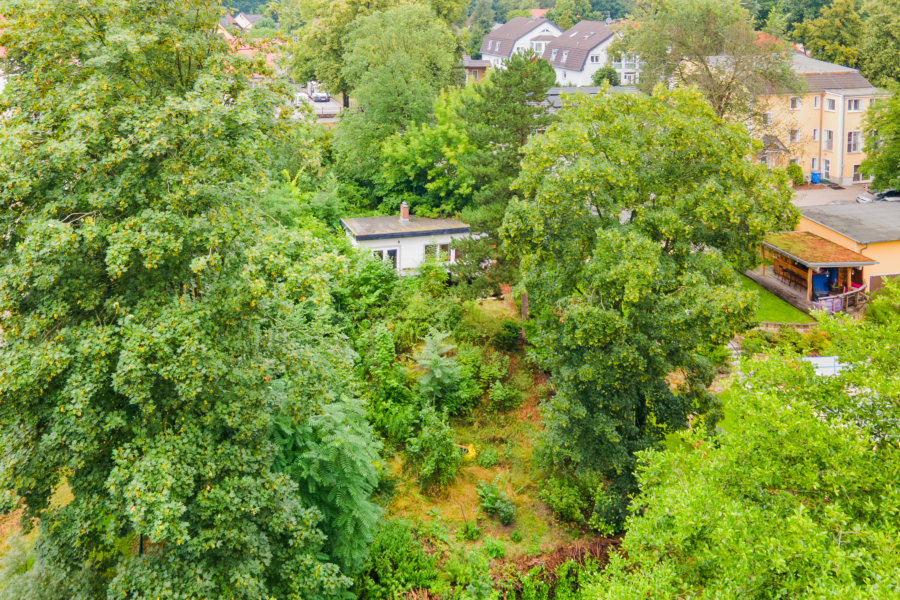 Sehenswerter Baumbestand