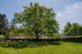 Laubbaum auf dem Grundstück - Wassernah, bauträgerfrei, erschlossen, vermessen - Baureifes Baugrundstück in Senzig